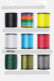 Hook Drop Spinning Wheel Fishing Line (Option: White-2.5)